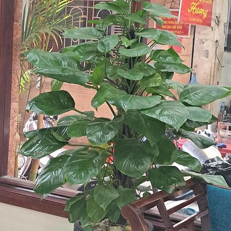 Hanvet Boutique Hotel Hanoi Eksteriør bilde